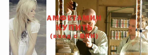 шишки Абаза
