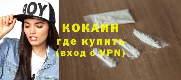шишки Абаза
