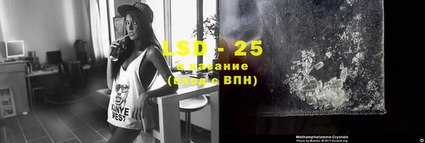 шишки Абаза