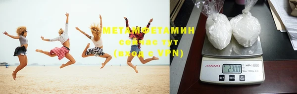 шишки Абаза