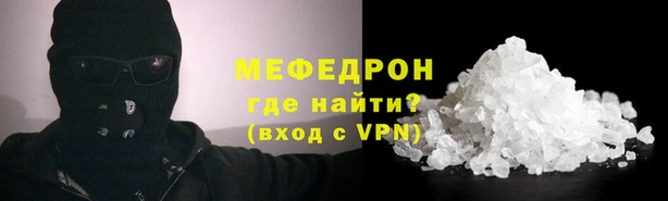 шишки Абаза