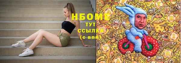 шишки Абаза