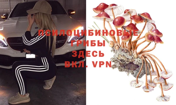 сатива Абинск