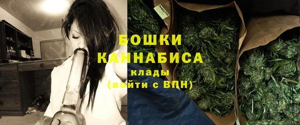 сатива Абинск