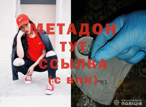 шишки Абаза