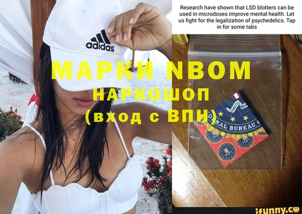 сатива Абинск