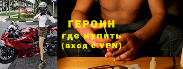 шишки Абаза