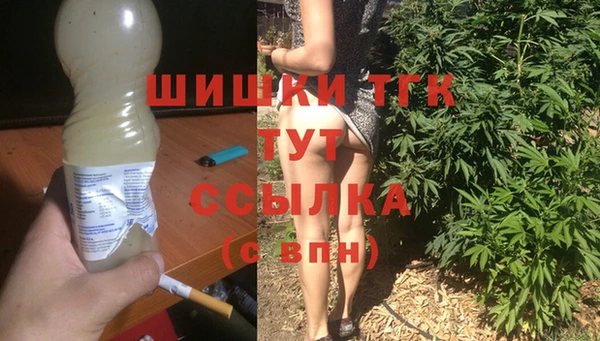 шишки Абаза