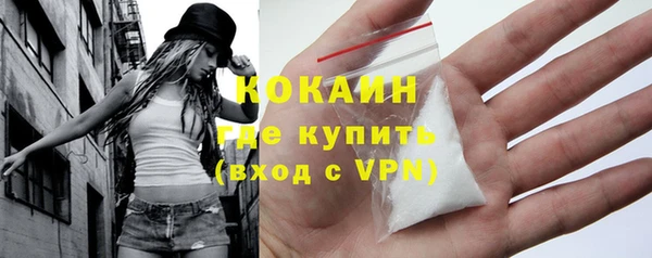 шишки Абаза