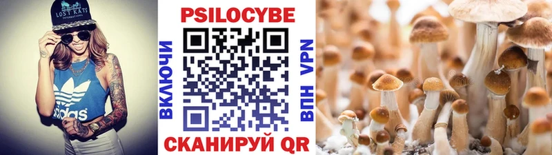 наркота  Сольцы  Псилоцибиновые грибы мухоморы 